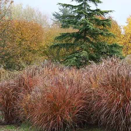 Les Jardins De L'aulnaie Bed and Breakfast Fontaine-sous-Jouy